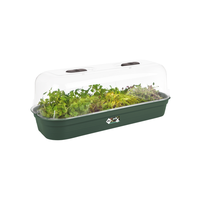 green basics kweektray l blad groen
